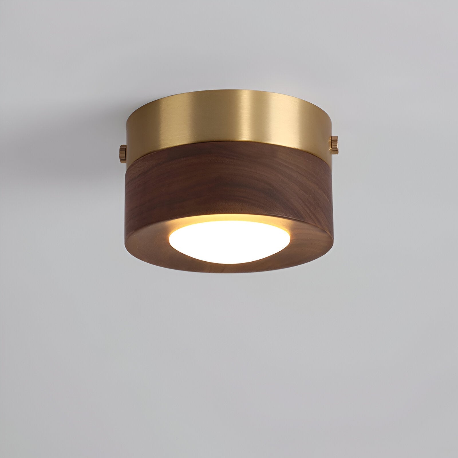 WoodSpot – LED Taklampa i Valnötsträ med Modern Spotlightdesign