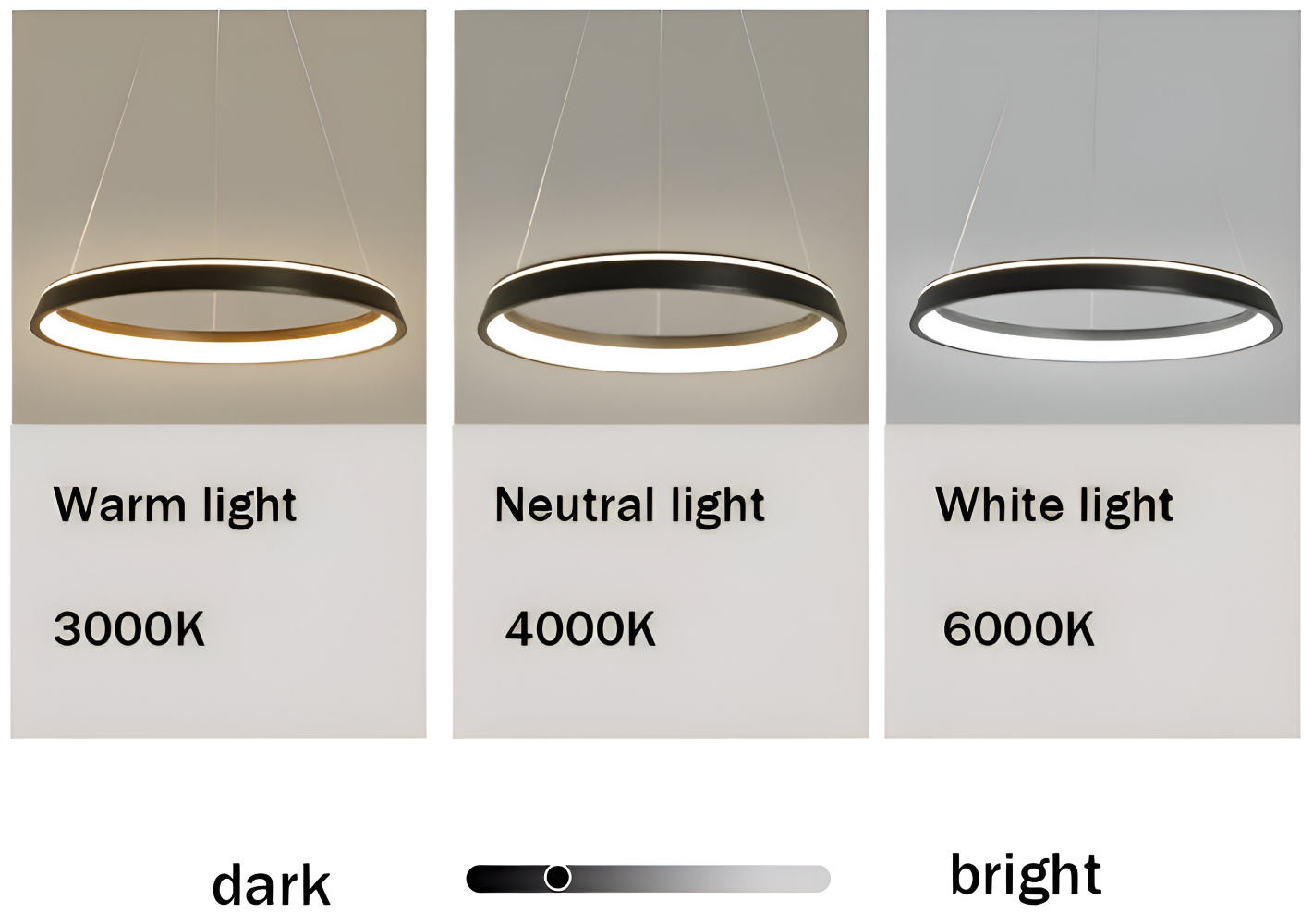CircaLume – Minimalistisk Rund LED Pendellampa i Svart & Vit