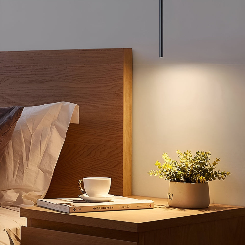 NordRay – Samtida Dubbelhuvud LED Pendellampa i Nordisk Design